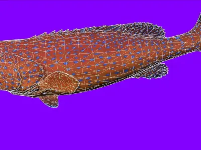 Fish Animation 3d model Low-poly 3D model