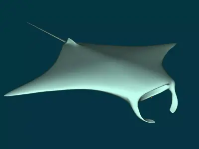 Stingray low-poly model manta ray 3D model