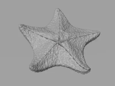 -Bat Starfish Red Rigged- 3D model