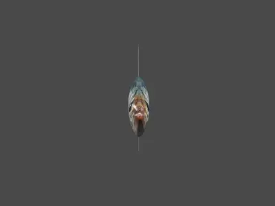 Fish - Sardine - Peixe Low-poly 3D model