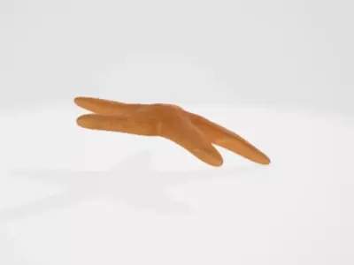 Starfish 3D model buy