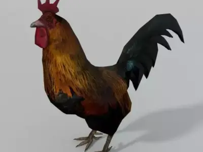 Rooster Low-poly 3D model purchase