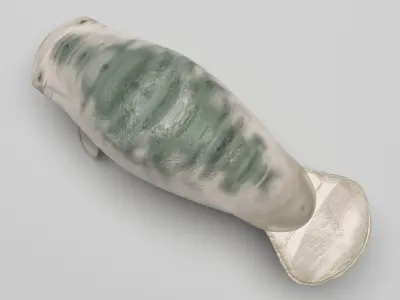 Manatee 3D model