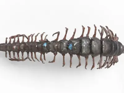 Centipede Creature 3D model
