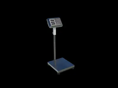 Digital Platform Scale 3D model