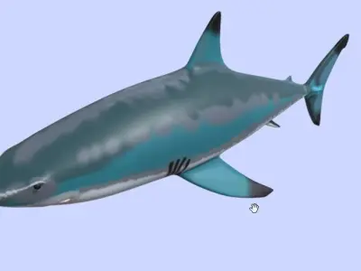 shark paint Free 3D model
