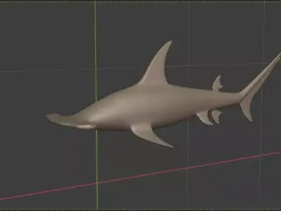 Hammerhead Shark 3D model purchase