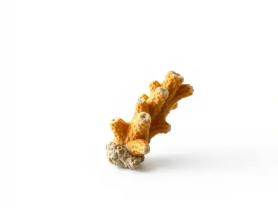Vibrant Tubular Coral Sculpture model pack Low-poly 3D model