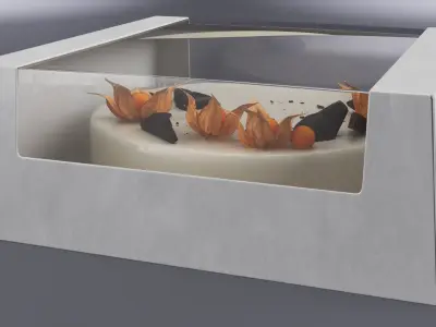 Transparent Window Box with Minimalist Cake with Physalis 3D model