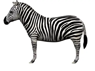 Zebra Low-poly 3D model