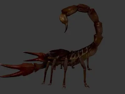 Scorpion Low-poly 3D model purchase