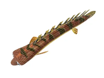 Barred Bichir Fish Cartoon Animated Low-poly 3D model