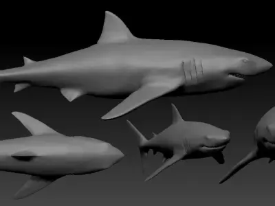 White shark base model Low-poly 3D model
