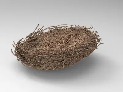 Bird Nest  Realistic Low-poly 3D model