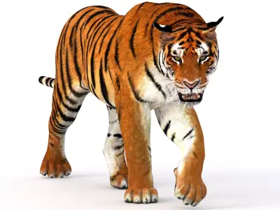 Big Cats Animated 3D model