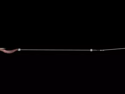 Bottom Bouncer and Worm 3D model