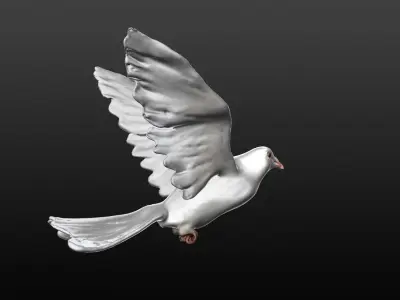 white dove 3D model purchase