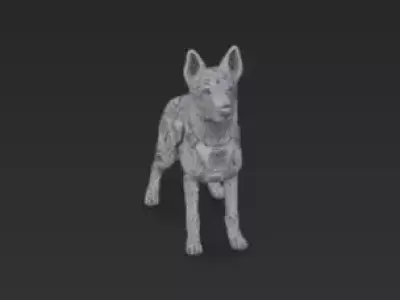 Rescue Dog 3D Model 3D print model