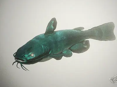 high poly catfish 3D model