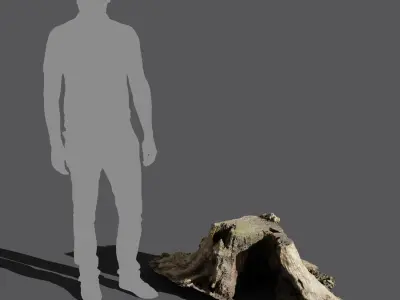  Short Cut Bare Decaying Stump Model 