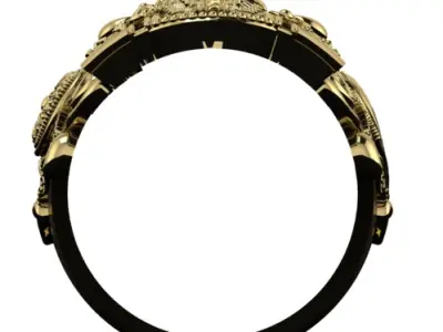 Balaji ring 3D print model
