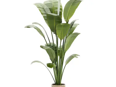 Artificial Bird Of Paradise Plant Tree Low-poly 3D model