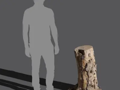  Medium Cut Bare Splintered Stump Model 