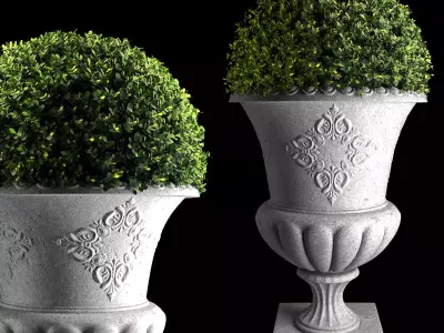 Plant Collection 04 3D model