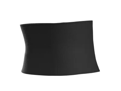 Black E-Band Zip Belt 3D model