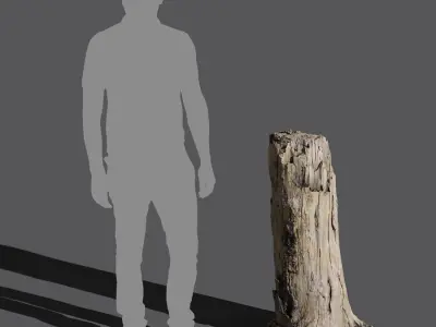  Tall Broken Bare Splintered Stump Model 