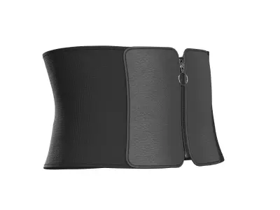 Black E-Band Zip Belt 3D model