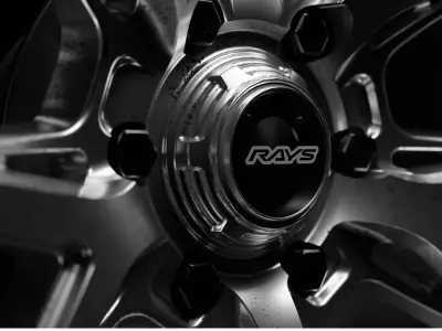 Rays Versus Rim 3D Model 3D model