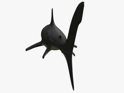Great White Shark 3D model 2