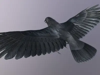 Crow Animated 3D model Low-poly 3D model