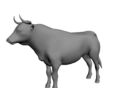 Bull Mesh 3D model