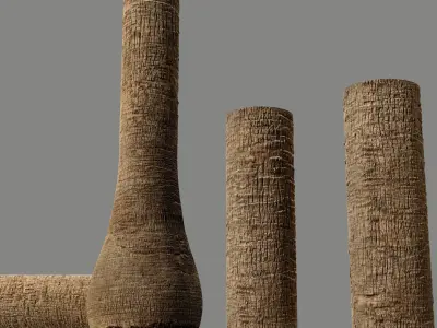  Washingtonia palm unbarked 3xPBR 8K 