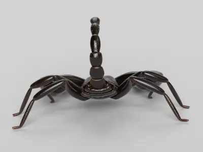 Scorpion 3D model 3