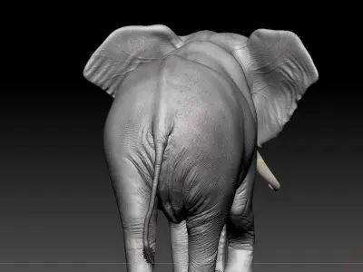 elephnt 3D model