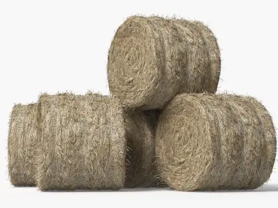 Round Hay Bales Stack with Pitchfork Golden Brown 3D model