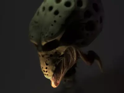 Snail skull 3D model