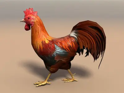 Birds Pack Low-poly 3D model