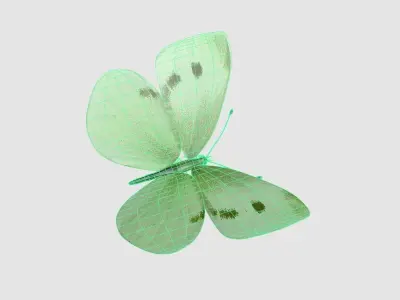 Butterfly 3d Model 3D model order