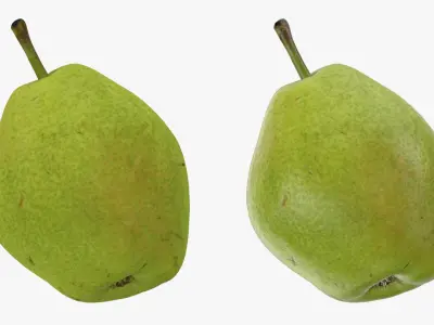  Pear Collection 