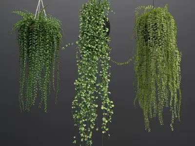  Rattan Pendant lights with hanged Plants 