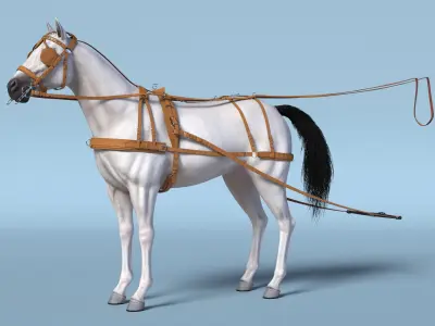White Horse Single Driving Harness 3D model