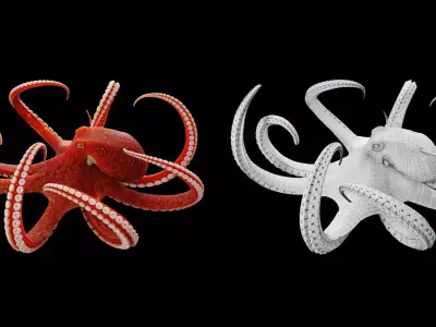 Animated Octopus Free 3D model