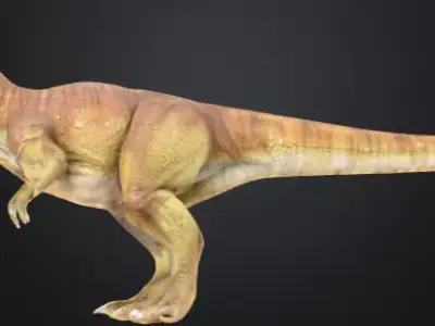 Realistic T-Rex 3D Model High-Quality Dinosaur Asset Low-poly 3D model