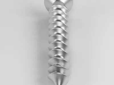 Screw 3D model order