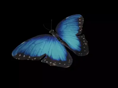 Butterfly 3D model Low-poly 3D model