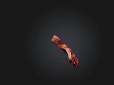 Bloodly Body part Low-poly 3D model